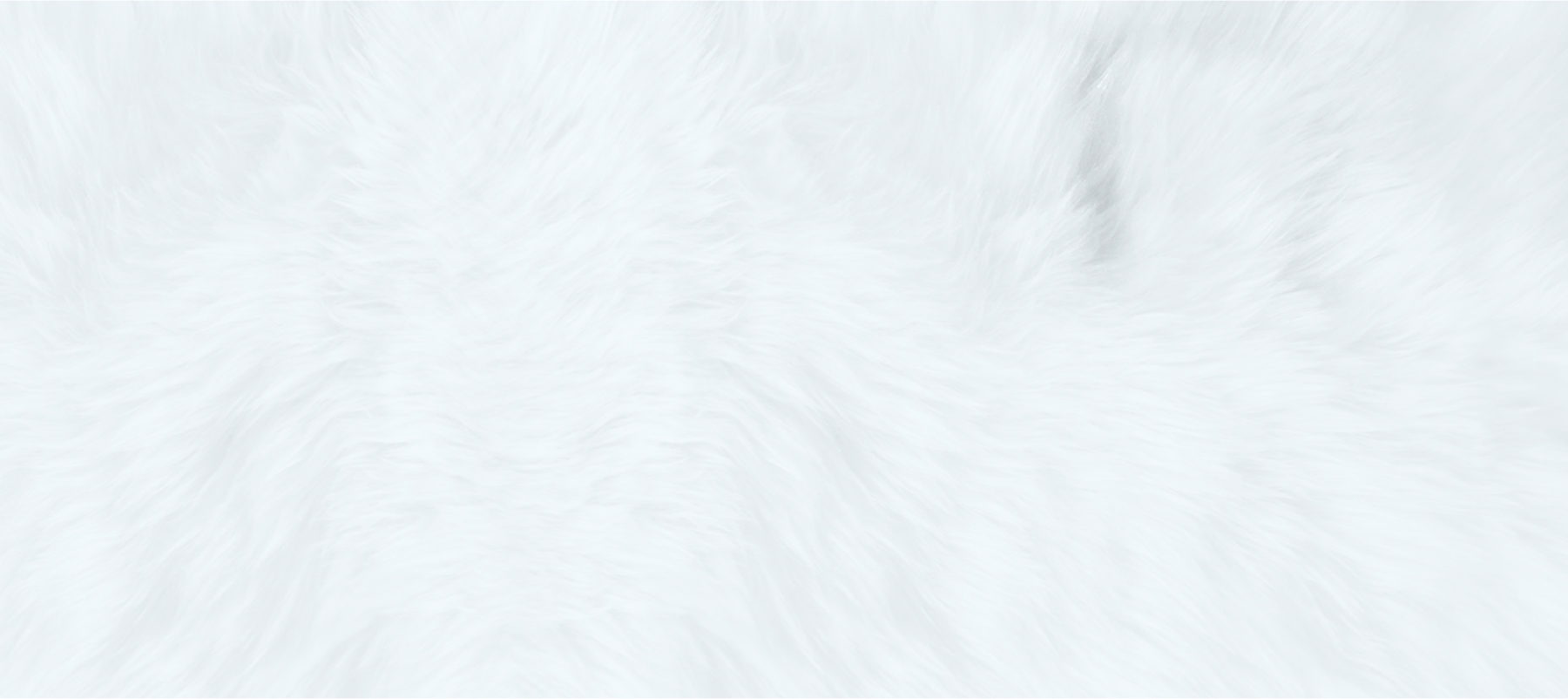 Silderbackgound2